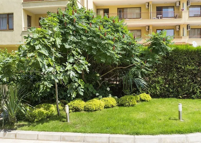 מלון Darius Hstl