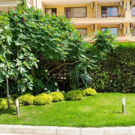 Darius Hstl Hotel Sunny Beach