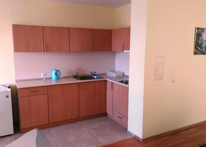 Hotel Darius Hstl Sunny Beach